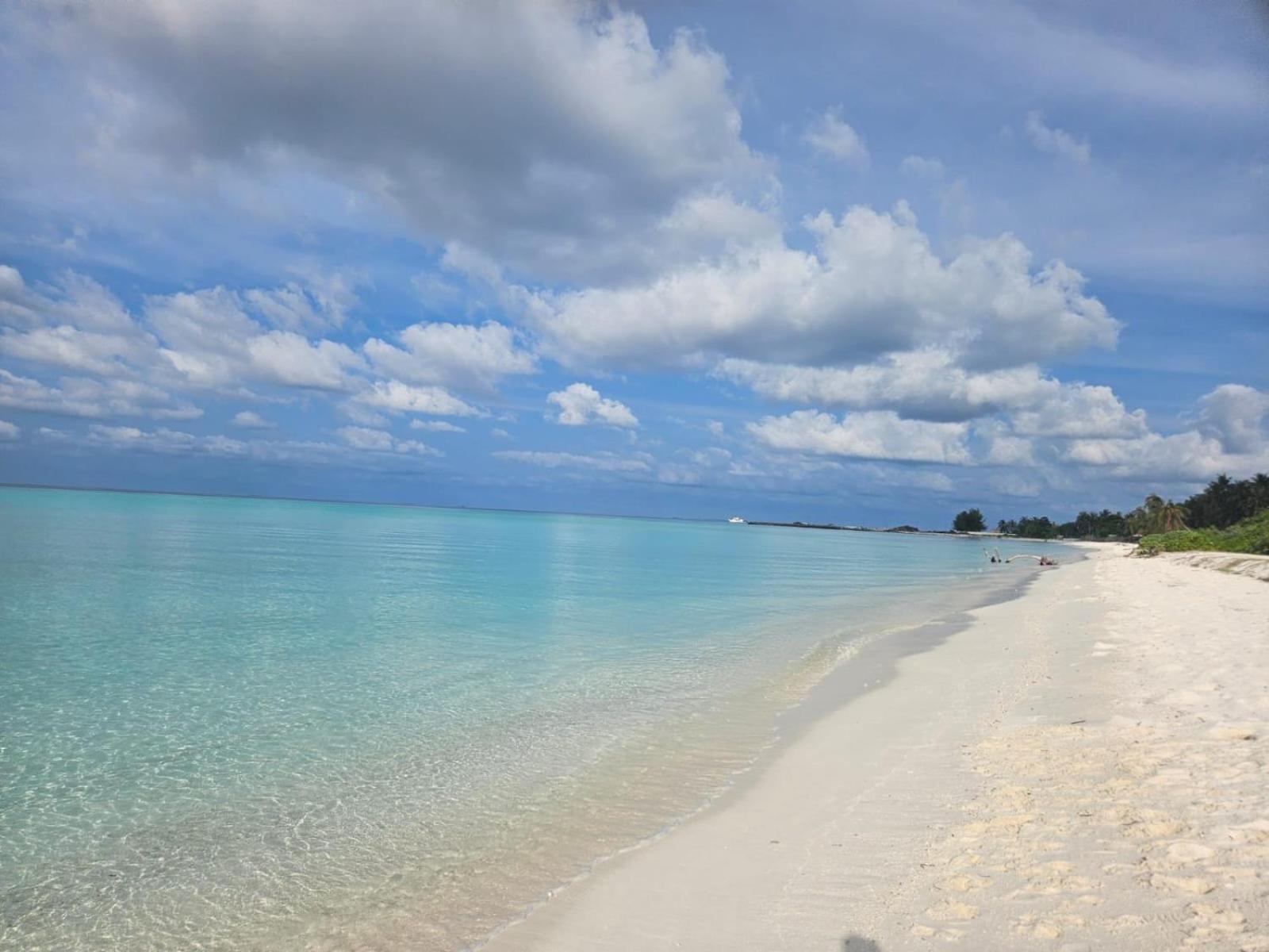 Hotel White Tern Maldives à Maamigili Extérieur photo