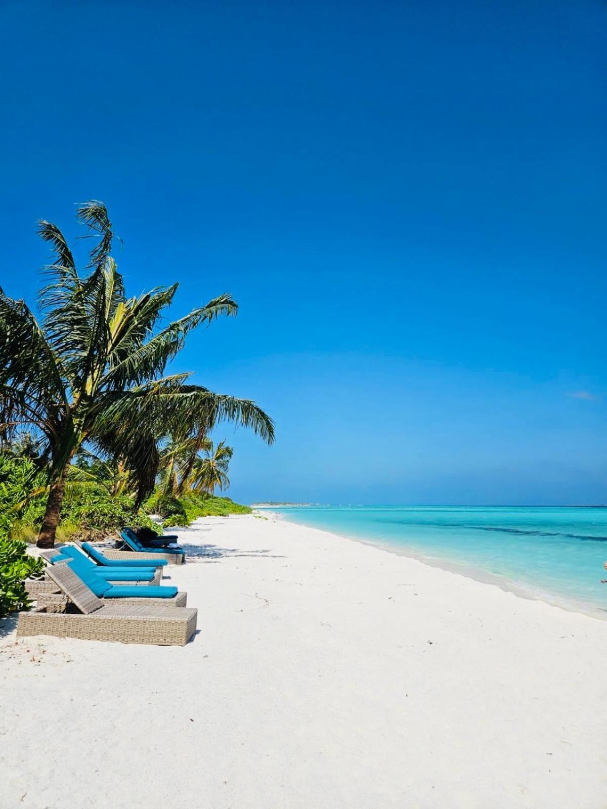 Hotel White Tern Maldives à Maamigili Extérieur photo