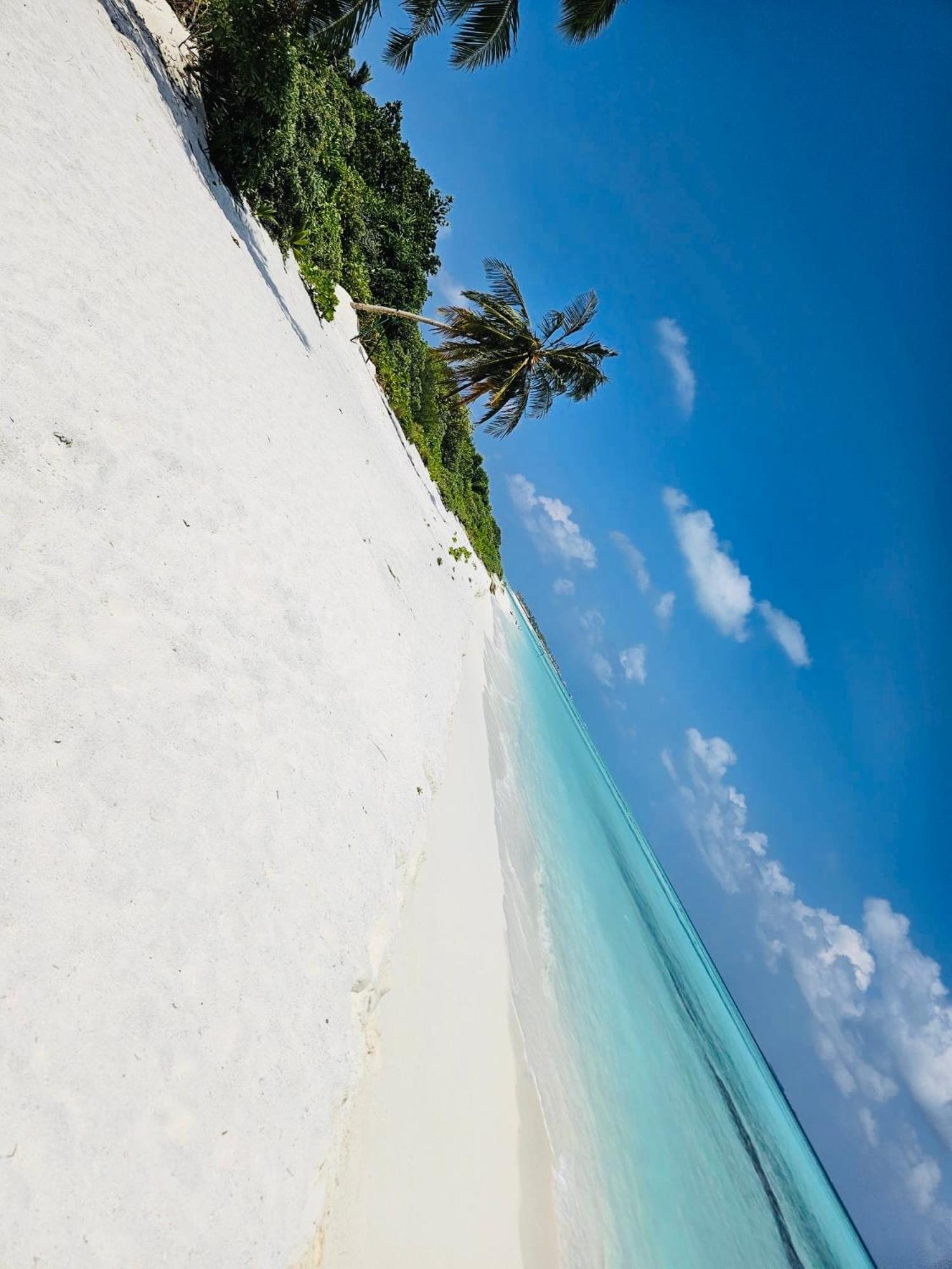 Hotel White Tern Maldives à Maamigili Extérieur photo